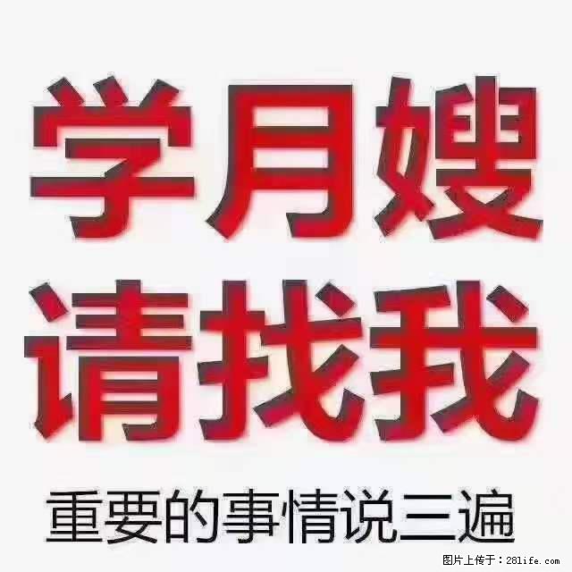 为什么要学习月嫂，育婴师？ - 其他广告 - 广告专区 - 咸阳分类信息 - 咸阳28生活网 xianyang.28life.net