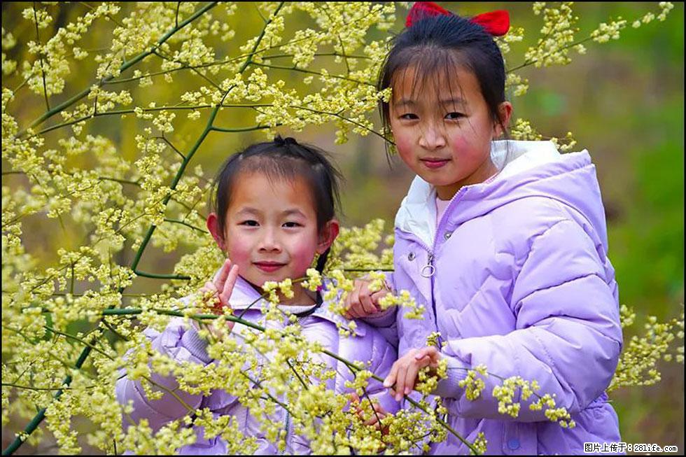 【春天，广西桂林灌阳县向您发出邀请！】米珠山前有片山苍子花在飘香 - 游山玩水 - 咸阳生活社区 - 咸阳28生活网 xianyang.28life.net