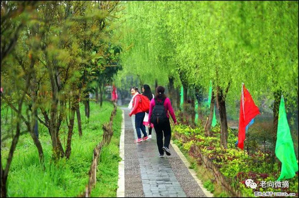 【春天，广西桂林灌阳县向您发出邀请！】江口老街又逢春 - 游山玩水 - 咸阳生活社区 - 咸阳28生活网 xianyang.28life.net