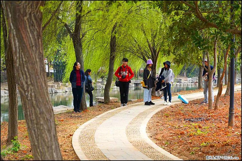 【春天，广西桂林灌阳县向您发出邀请！】江口老街又逢春 - 游山玩水 - 咸阳生活社区 - 咸阳28生活网 xianyang.28life.net