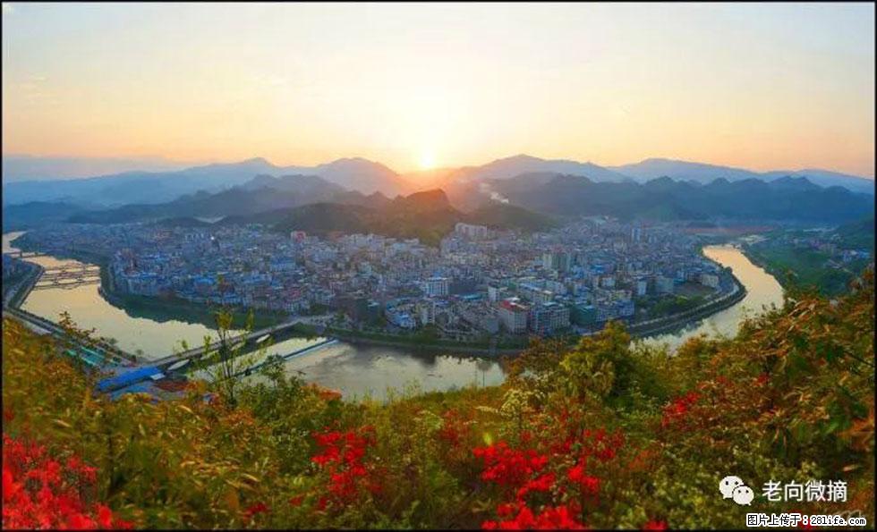 【春天,广西桂林灌阳县向您发出邀请!】登麒麟山,相约映山红 - 游山玩水 - 咸阳生活社区 - 咸阳28生活网 xianyang.28life.net