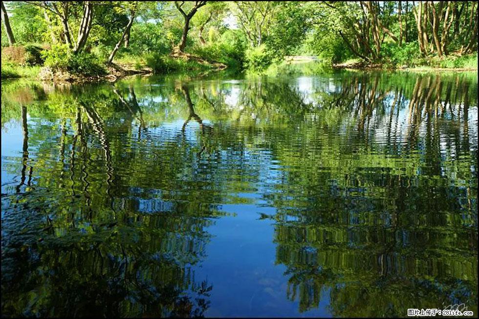 【春天，广西桂林灌阳县向您发出邀请！】熊家寨湿地公园 - 游山玩水 - 咸阳生活社区 - 咸阳28生活网 xianyang.28life.net