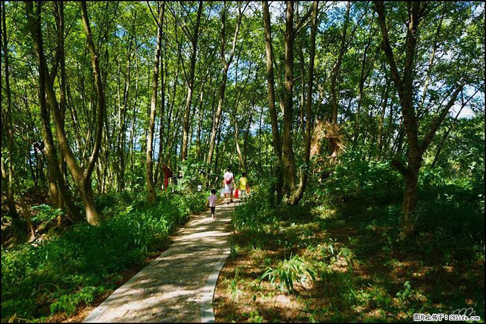 【春天，广西桂林灌阳县向您发出邀请！】熊家寨湿地公园 - 游山玩水 - 咸阳生活社区 - 咸阳28生活网 xianyang.28life.net