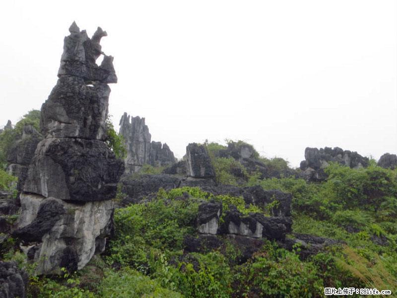 桂林旅游名城景点：灌阳文市石林 - 游山玩水 - 咸阳生活社区 - 咸阳28生活网 xianyang.28life.net