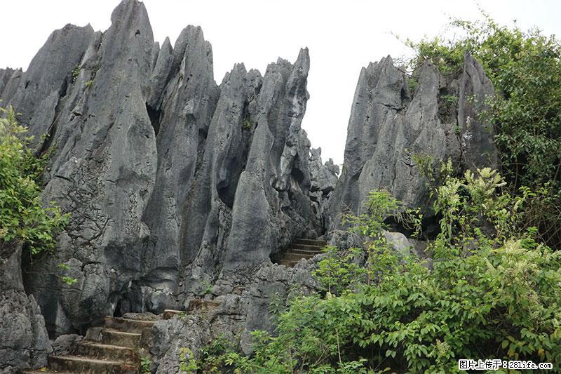 桂林旅游名城景点：灌阳文市石林 - 游山玩水 - 咸阳生活社区 - 咸阳28生活网 xianyang.28life.net