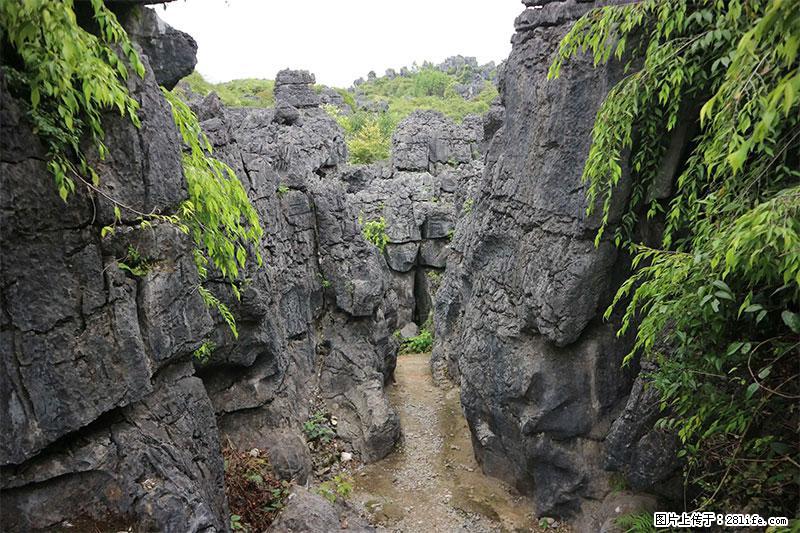 桂林旅游名城景点：灌阳文市石林 - 游山玩水 - 咸阳生活社区 - 咸阳28生活网 xianyang.28life.net