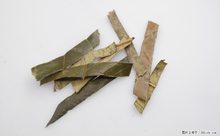 苦丁茶有哪些功效和作用 - 生活百科 - 咸阳生活社区 - 咸阳28生活网 xianyang.28life.net