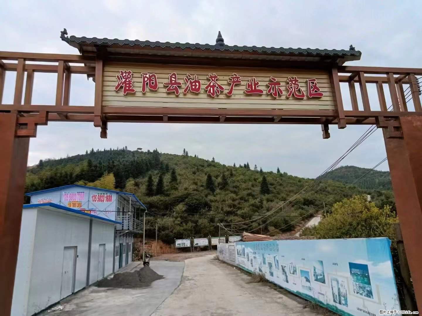 【灌阳县油茶产业示范区】一个有着充实的精神生活的人，对待身外之物自会有一种淡泊的态度 - 土特产 - 饮食特产 - 咸阳分类信息 - 咸阳28生活网 xianyang.28life.net