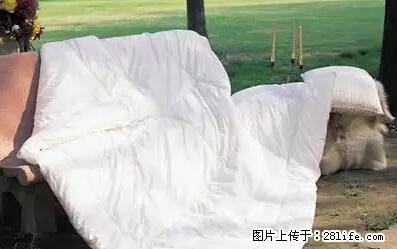 被子有异味？只要这样做，比晒太阳还强100倍！ - 家居生活 - 咸阳生活社区 - 咸阳28生活网 xianyang.28life.net