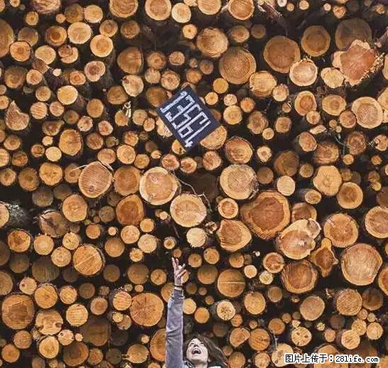 辞掉工作周游世界？现在他们在洗厕所…… - 游山玩水 - 咸阳生活社区 - 咸阳28生活网 xianyang.28life.net