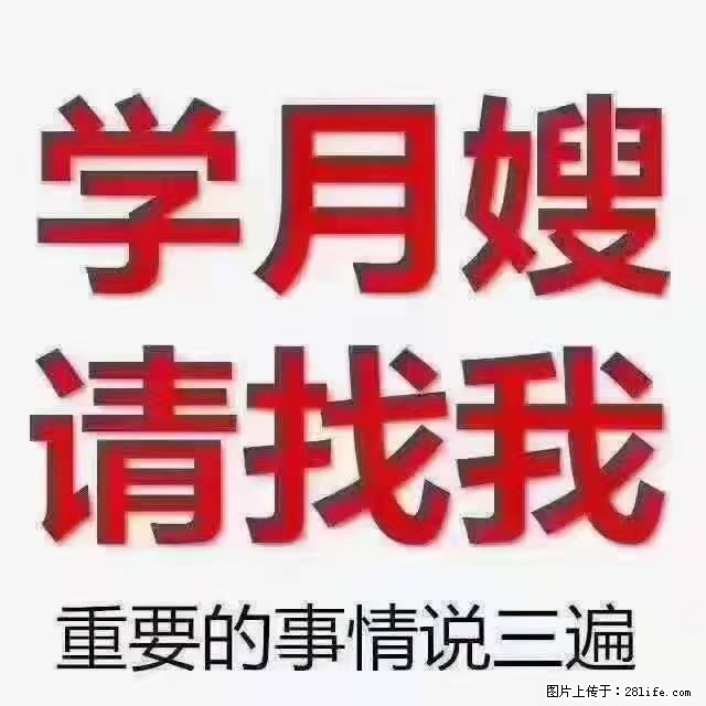 【招聘】月嫂，上海徐汇区 - 职场交流 - 咸阳生活社区 - 咸阳28生活网 xianyang.28life.net
