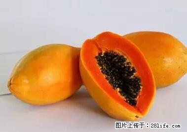 晕车、脚气、牙齿变黄、皮肤粗糙？学会这些三分钟搞定！ - 咸阳生活资讯 - 咸阳28生活网 xianyang.28life.net
