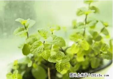 晕车、脚气、牙齿变黄、皮肤粗糙？学会这些三分钟搞定！ - 咸阳生活资讯 - 咸阳28生活网 xianyang.28life.net