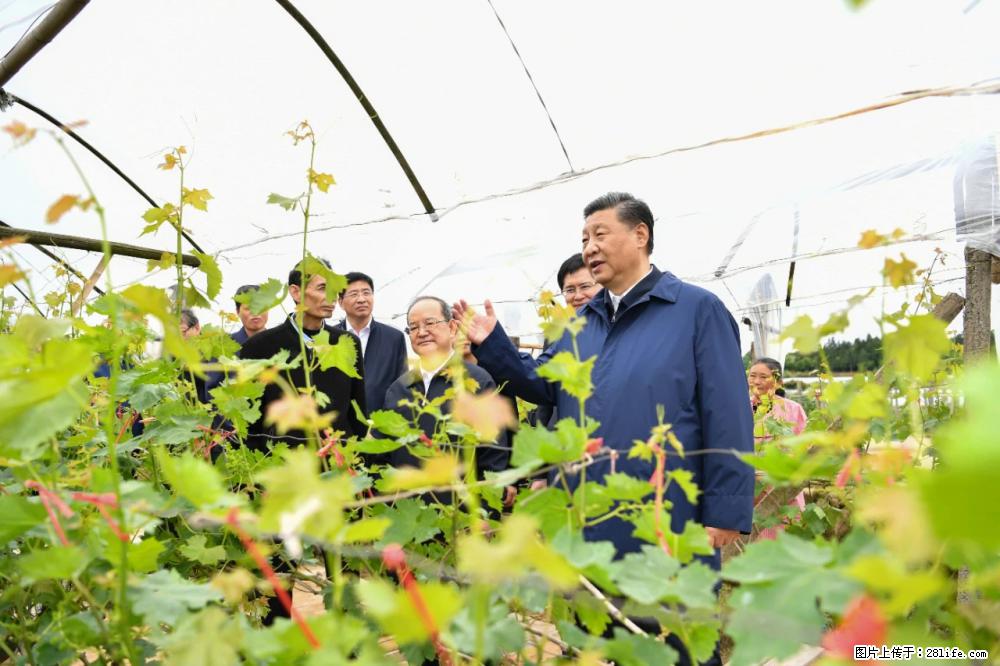 习近平赴广西考察调研 - 咸阳生活资讯 - 咸阳28生活网 xianyang.28life.net