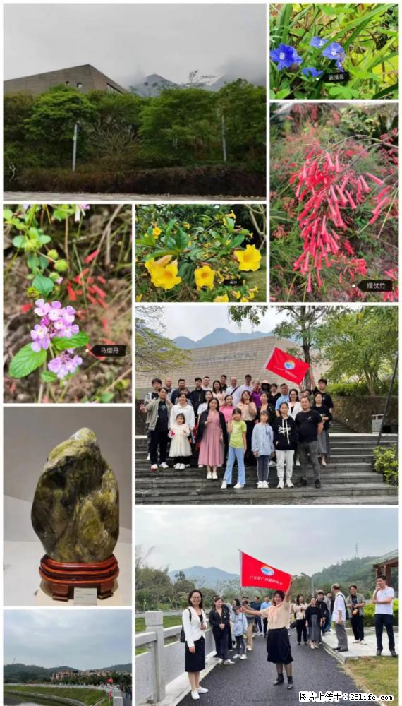 “粤灌文化 美好生活”油茶文化主题活动在广东深圳成功举办 - 咸阳生活资讯 - 咸阳28生活网 xianyang.28life.net