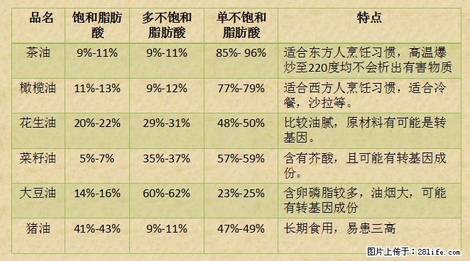 揭秘茶油的5大核心营养成分！被称为人体健康的“守护盾”！ - 咸阳生活资讯 - 咸阳28生活网 xianyang.28life.net