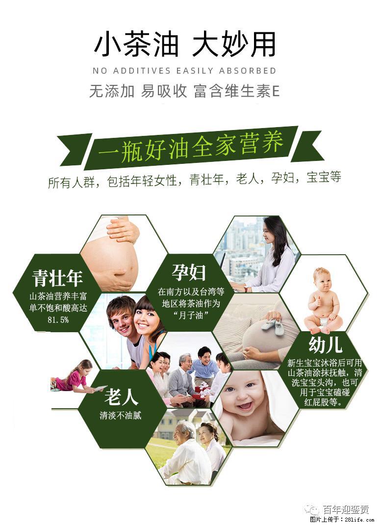 世界没有真相，只有认知，最好的食用油是中国的山茶油！ - 咸阳生活资讯 - 咸阳28生活网 xianyang.28life.net
