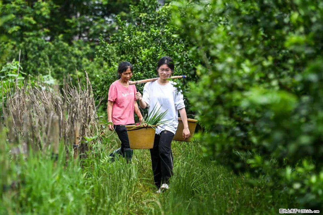 全网追的“扁担女孩”，找了一份暑假工，时薪12元 - 咸阳生活资讯 - 咸阳28生活网 xianyang.28life.net