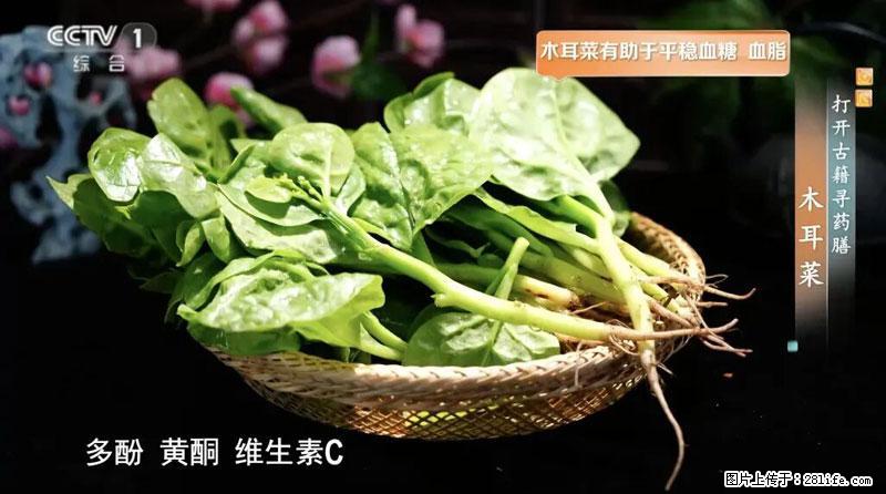 比牛奶补钙还厉害！凉血解毒、稳血糖...这菜冬天必吃，很多人却当草 - 咸阳生活资讯 - 咸阳28生活网 xianyang.28life.net