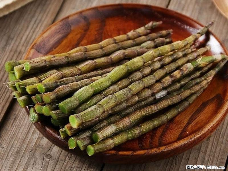 铁皮石斛的作用与功能主治 - 咸阳生活资讯 - 咸阳28生活网 xianyang.28life.net
